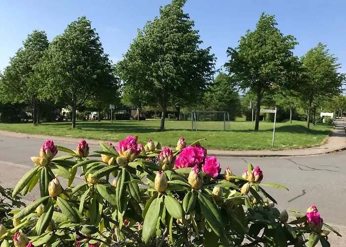 Schlei Idyll * Maasholm-Bad